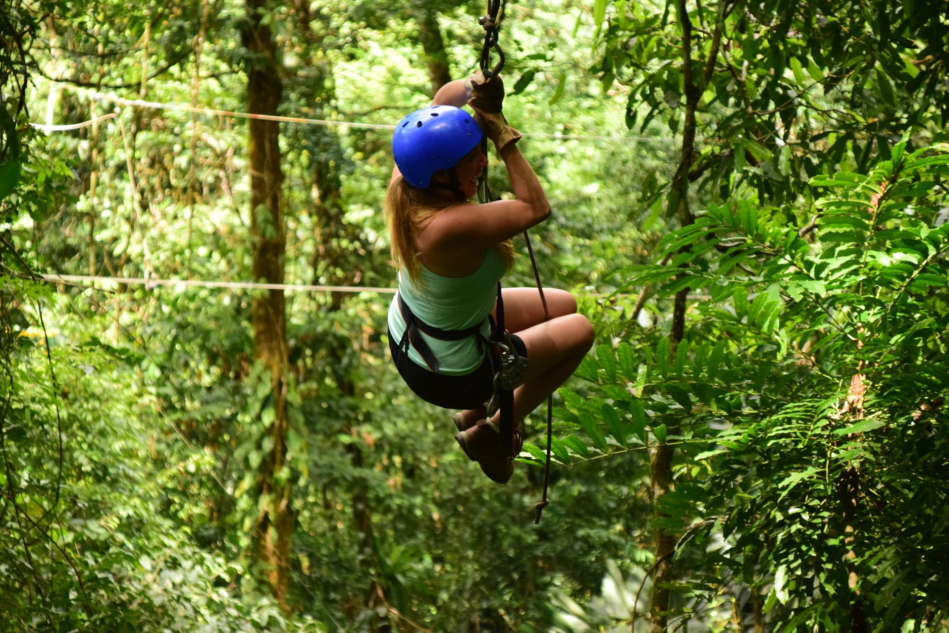 Monkey Zipline Canopy Harrison's Cave
